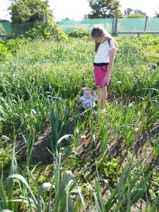Lily and Becky in the leek patch